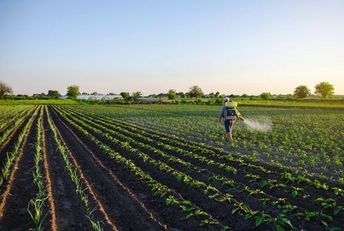 Fundamental Insights on this Agricultural Inputs Stock - NUF