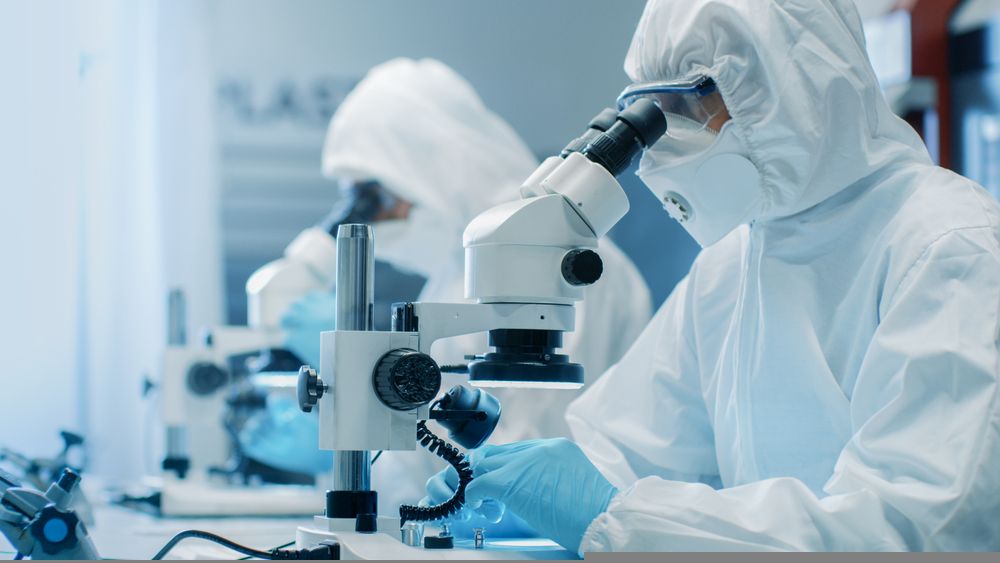 Fundamental Insights on this Healthcare Stock – IDT