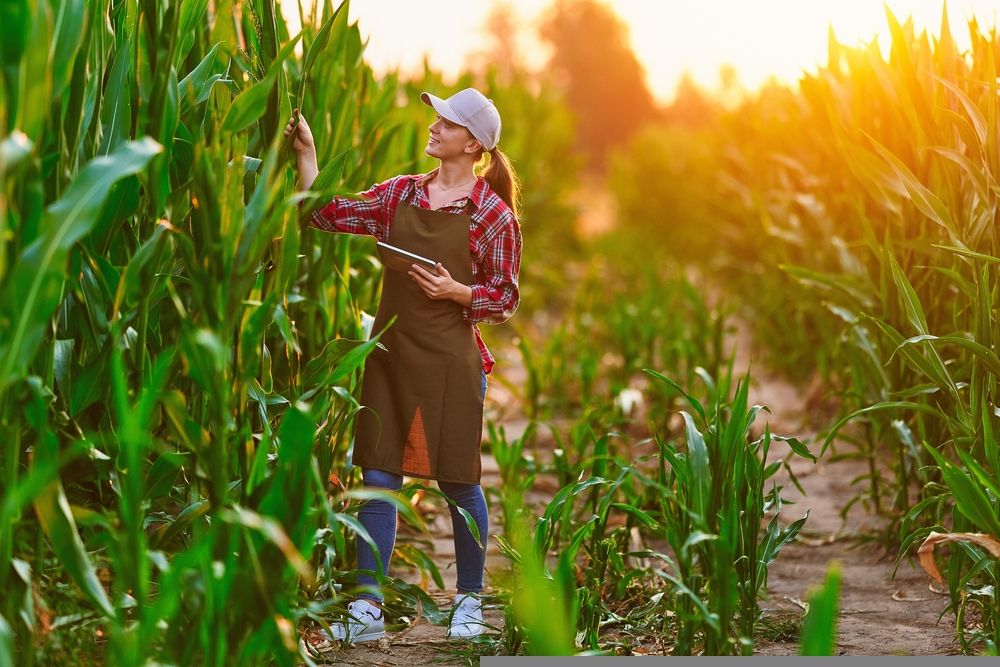 Fundamental Insights on this Consumer Staples’ Stock - ELD