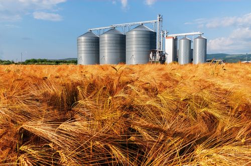 One Consumer Staples with a Pipeline of Growth Opportunities - GNC