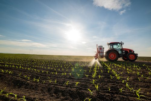 Will this Diversified Chemical Stock Perform Over Long-term - IPL