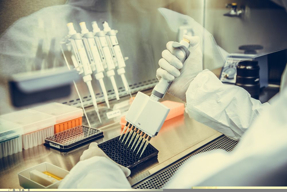 Watch Out For NASDAQ- Listed Health Care Stock – Prime Medicine Inc