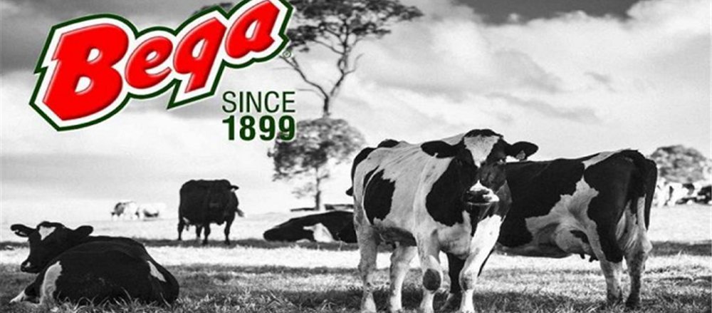 Two stocks that slipped - Bega Cheese and Freelancer