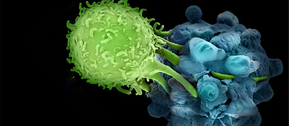 Should you take Profits on Viralytics Ltd?