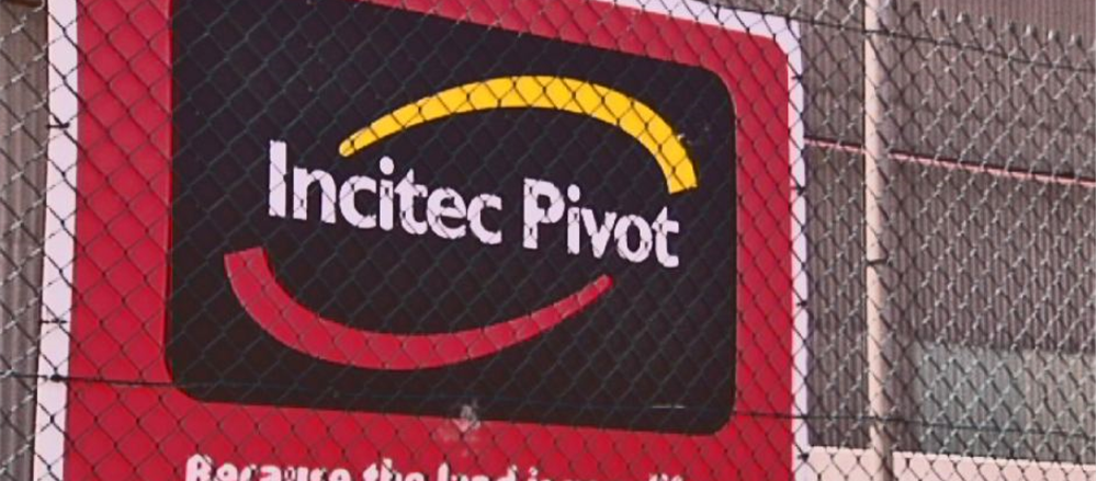 What made Incitec Pivot plunge on ASX?  