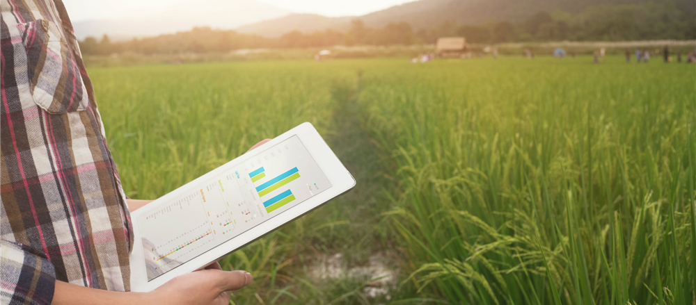 3 Diverse Dividend Stocks - RFF, CBA, ADH