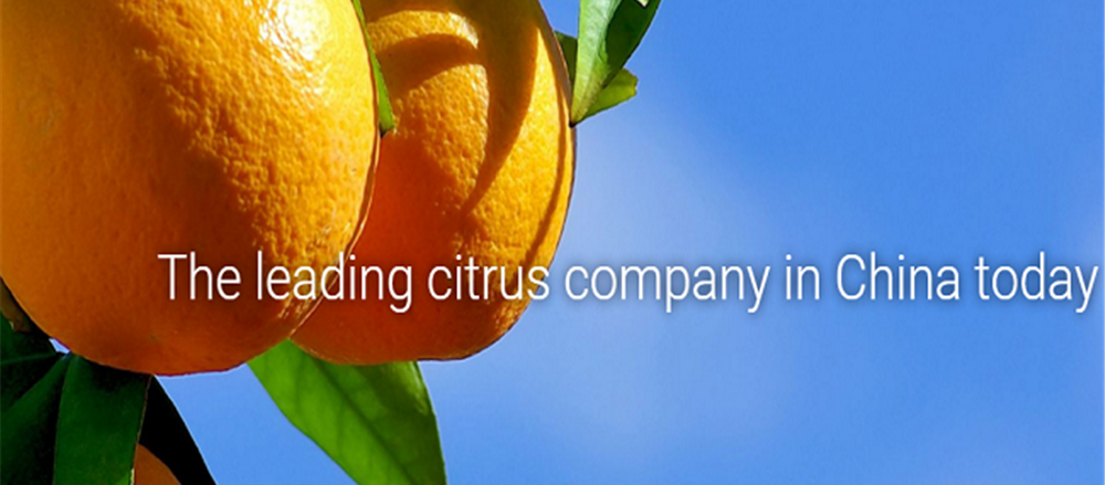 Stocks From Recent IPOs