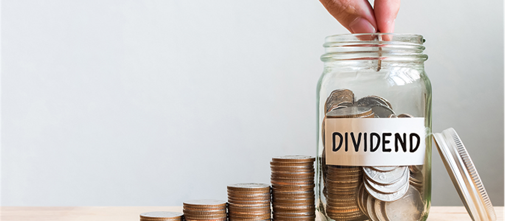 4 High dividend paying stocks – Kathmandu Holdings, Nick Scali, RCG Corporation and Lovisa Holdings