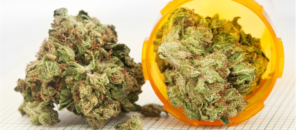 Are these 8 Pot Stocks setting the seeds of future growth – AC8, CAN, THC, CPH, ZLD, RGI, SCU, MXC?