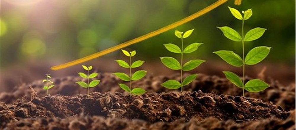 Are these Five Small-cap Stocks in Buy Zone?