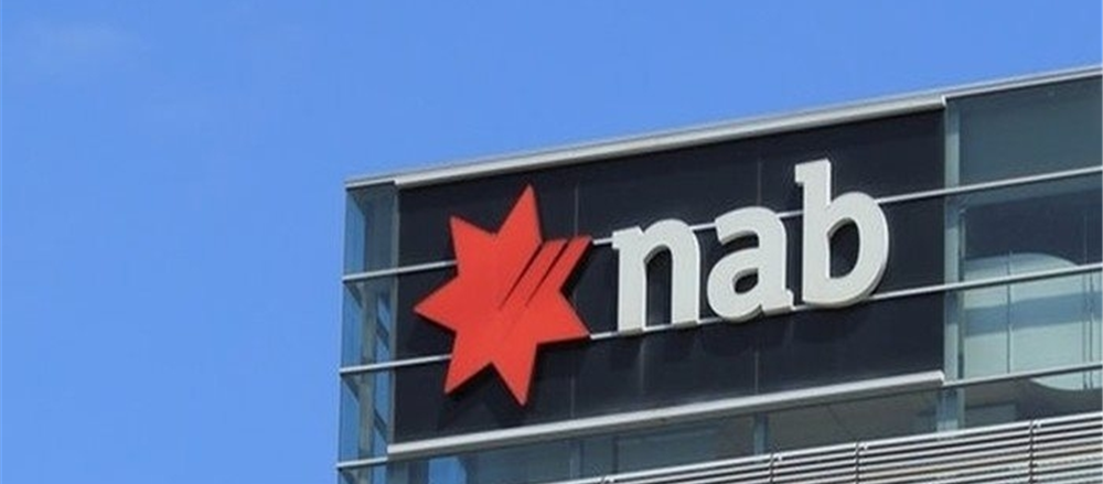 Are these 4 Stocks offering Fat Dividend Yields - NAB, WBC, BHP, FMG