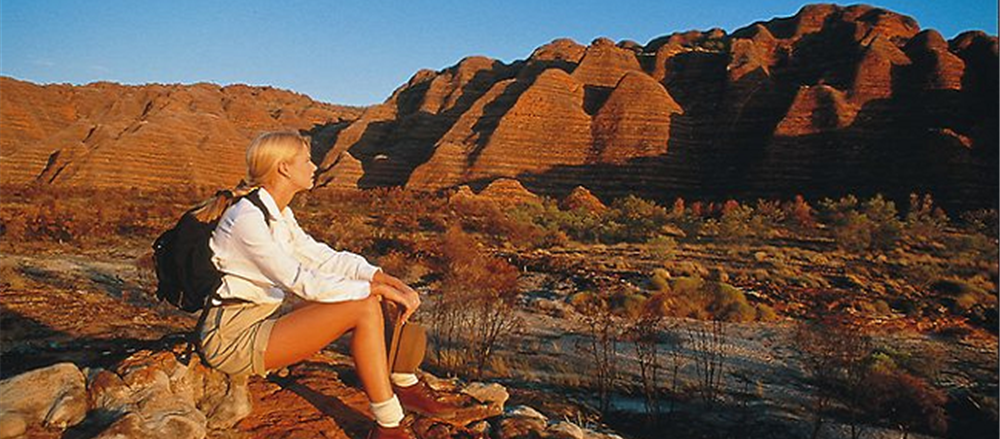 Four Fully-franked Tourism Stocks that look interesting