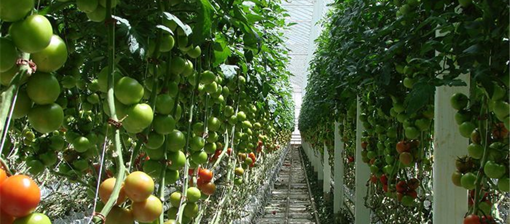 Six food industry related stocks