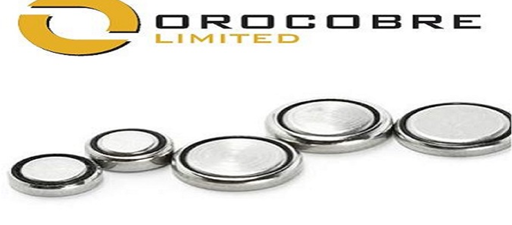 What made Orocobre touch high levels while Vita Group plunged heavily?