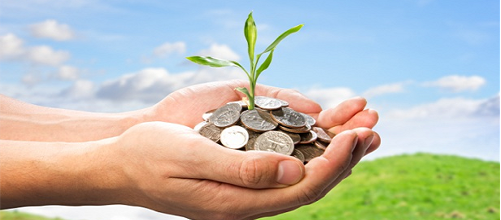 FIVE EXPENSIVE STOCKS THAT YOU CAN AVOID
