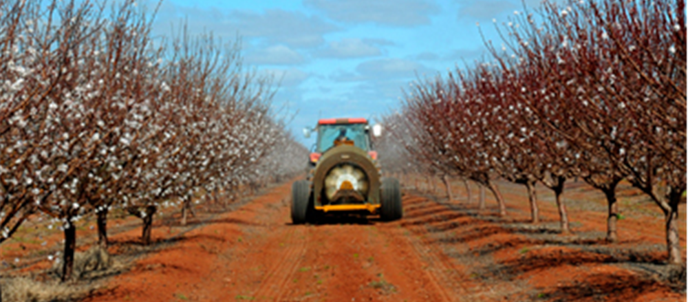What is with Select Harvests Limited?
