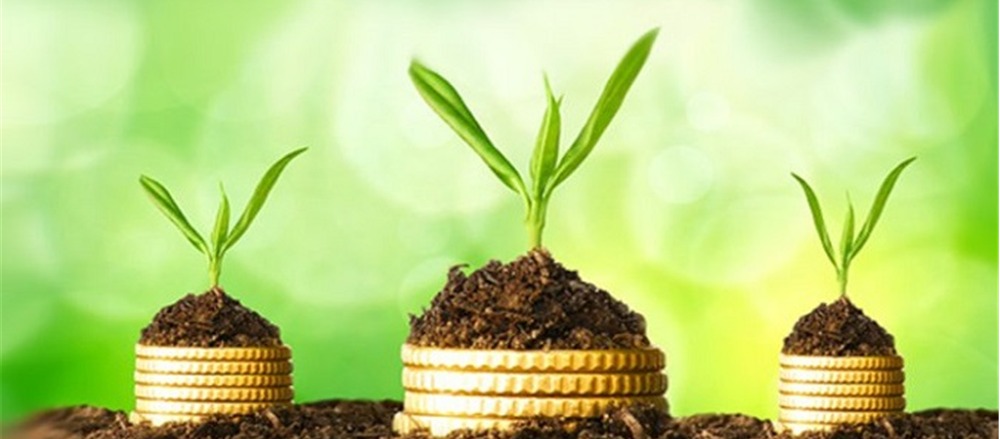 Should you buy these 4 Stocks having High Dividend yields?