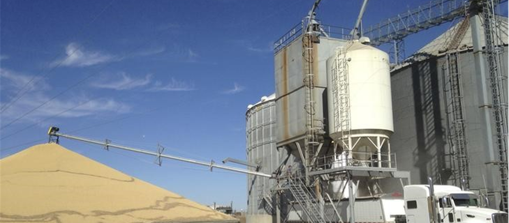 Three stocks with a downfall - Graincorp, Asaleo Care and iCar Asia 