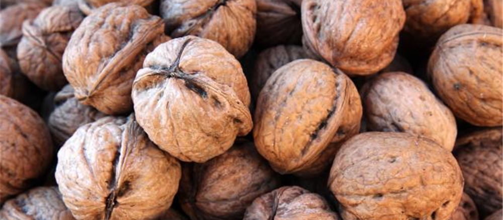 Five small-cap farming stocks to pick from