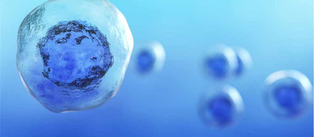 One Stock that soared high and 2 that slipped on ASX – SCU, EML and BAL  