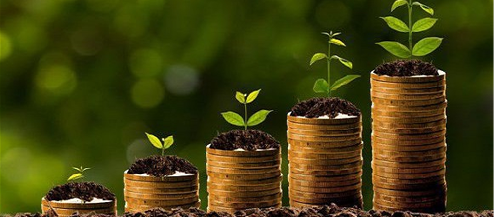 Two growth stocks to Buy - Freelancer Ltd. and Dorsavi Ltd.