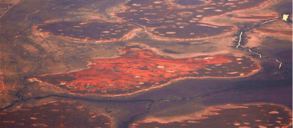 Two stocks that rose on ASX – Evolution Mining and Pact Group 