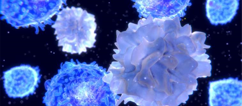 Is Volpara in buy zone - VHT 