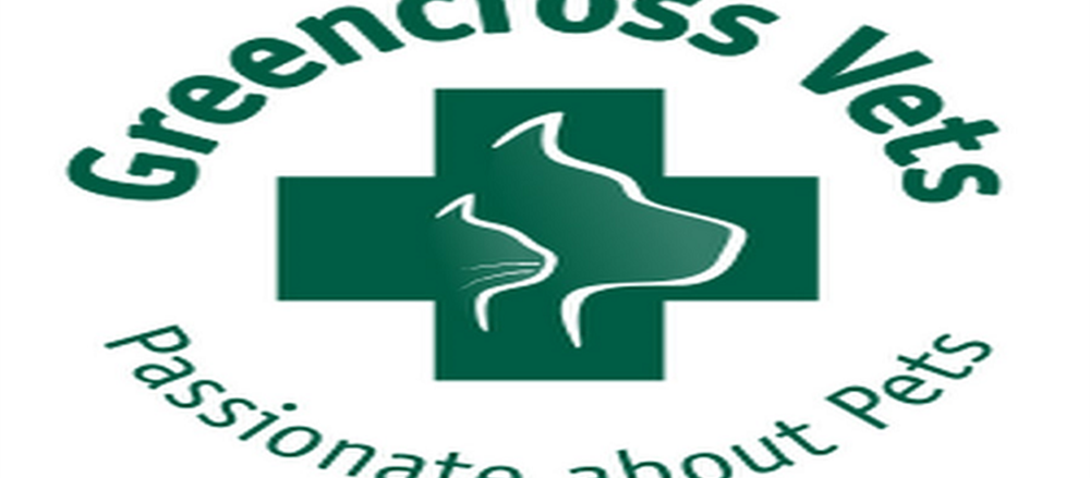 Two ASX stocks that surged above 4% - Greencross Limited and Praemium Ltd