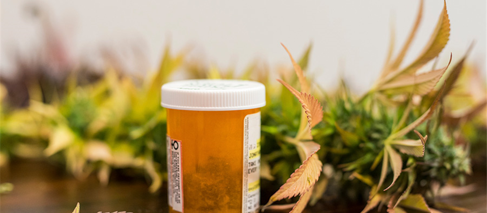 2 Pot Stocks – Creso Pharma and AusCann Group