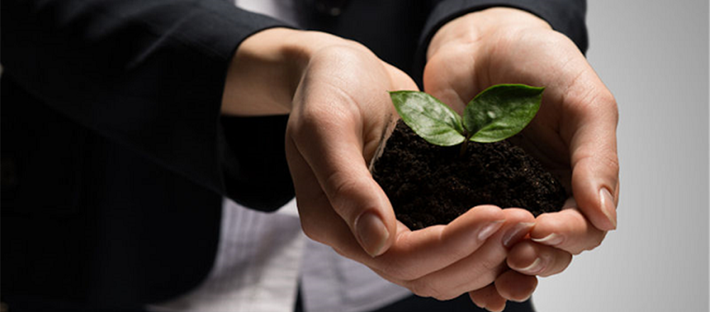 Should you look at these five microcaps?