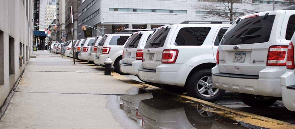 Are these 2 stocks still having growth prospects - SIQ, BIN 