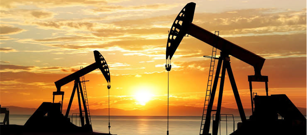 5 Stocks in 2020 - OSH, WOW, TLS, WBC, EVN