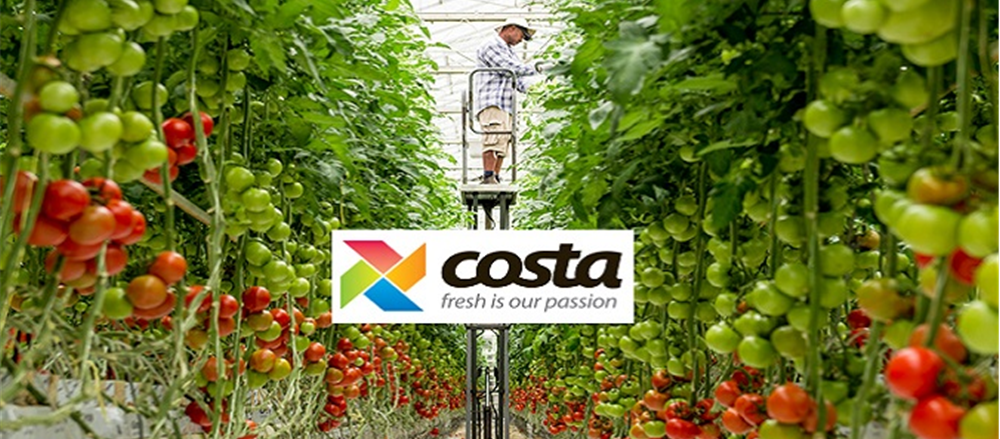 Why Costa Group continues to move up the ASX ladder?