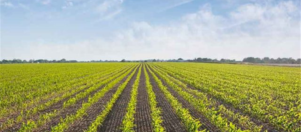 4 Upcoming Floats – UBL, MKG, ETK and PYG