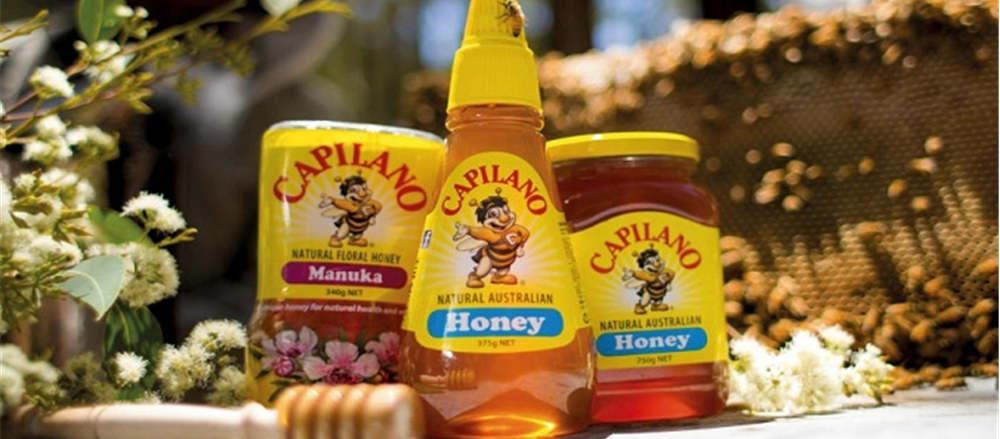 Five household stocks – Capilano Honey, Harvey Norman, Coca Cola, Qantas and Treasury Wine