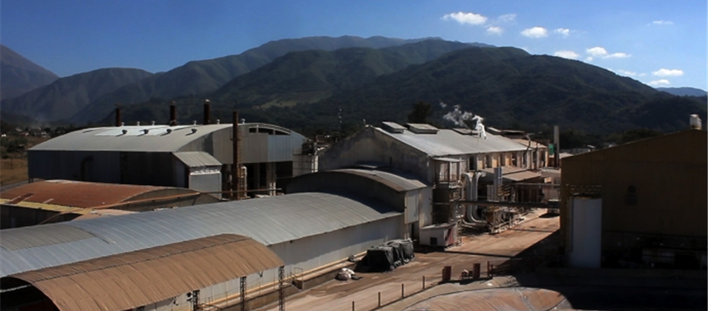 Two stocks that slipped - Orocobre Limited and Sky Network Television Ltd