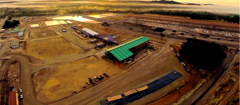 Two ASX stocks that tried to rebound after facing immense heat – Wellard Ltd and Tiger Resources