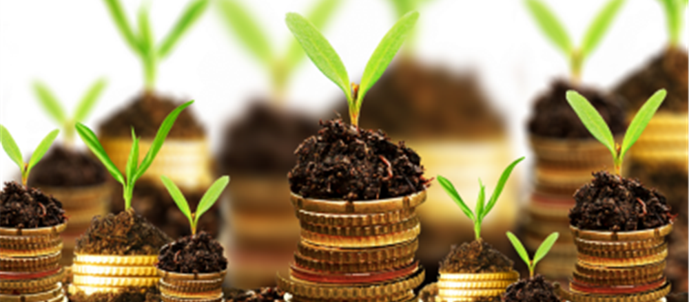 5 stocks priced less than a dollar - Should you take a punt?