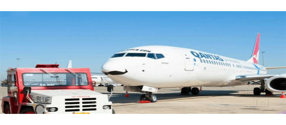 3 Great Income Stocks – QAN, BHP, WBC 