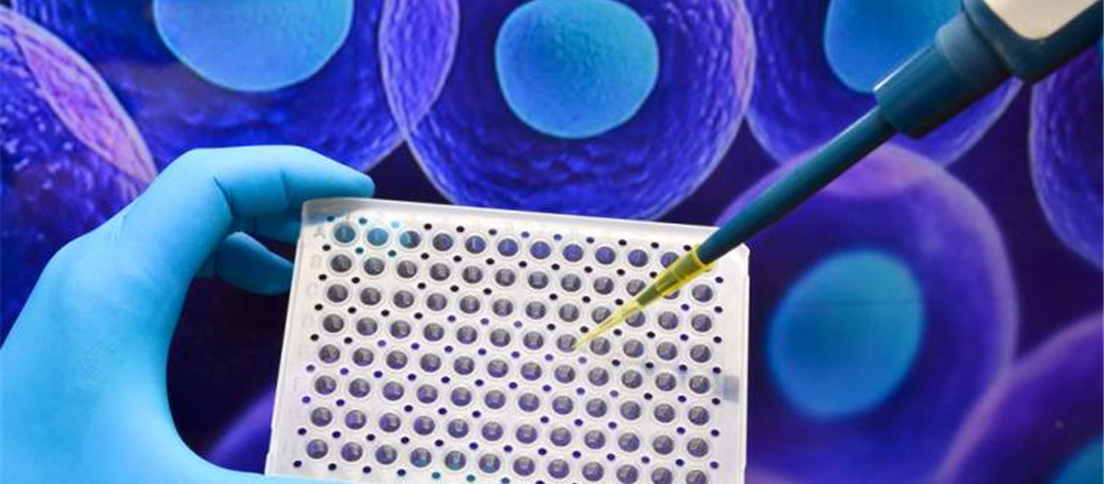 2 ASX-listed Biotech Stocks – MSB and BNO