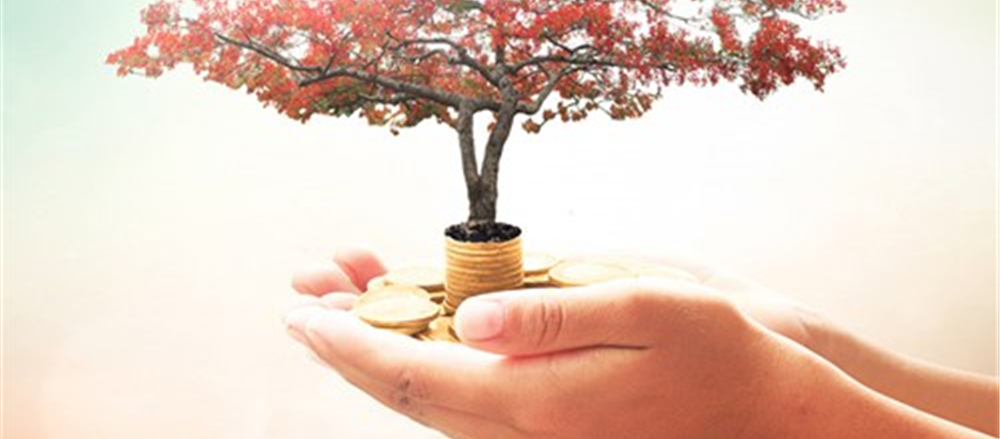 Six dividend paying mid-cap consumer cyclical stocks