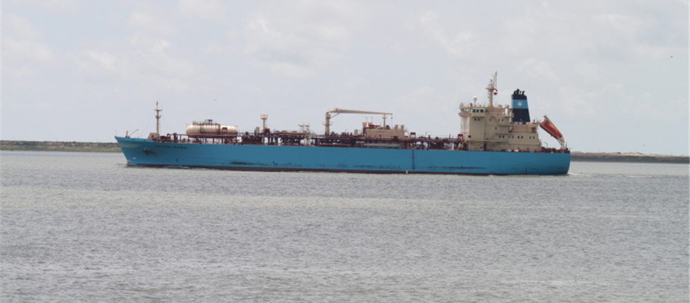 Why our stock of choice rallied high – NGI?  