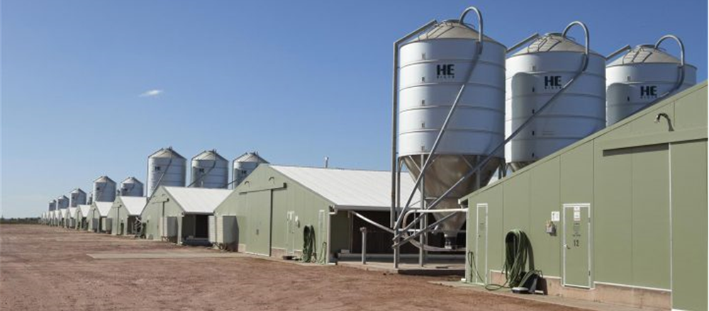 A better bet for retirement - Rural Funds Group or Freedom Foods Group?  