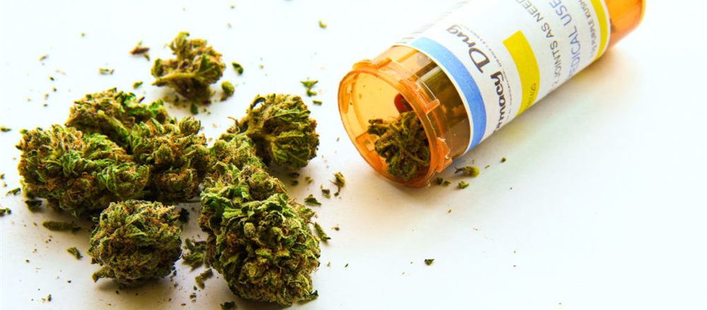 One Cannabis Stock that Zoomed High – AusCann Group (ASX: AC8)