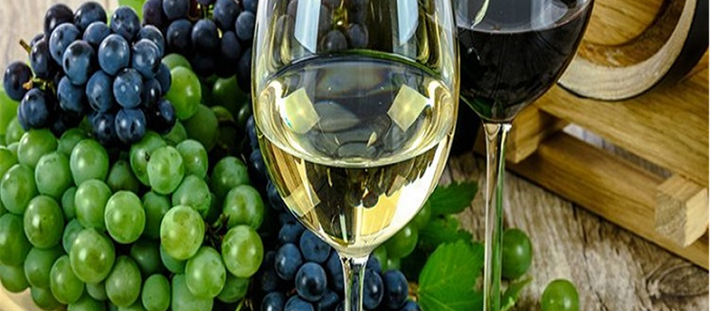 One small cap wine company to buy - Australian Vintage Ltd.
