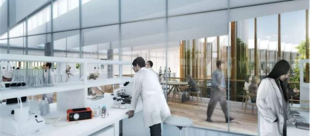 Should you hold these 2 stocks - OSL, DCN