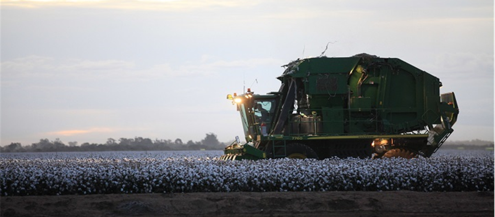 One Agribusiness Stock to Hold – WBA!