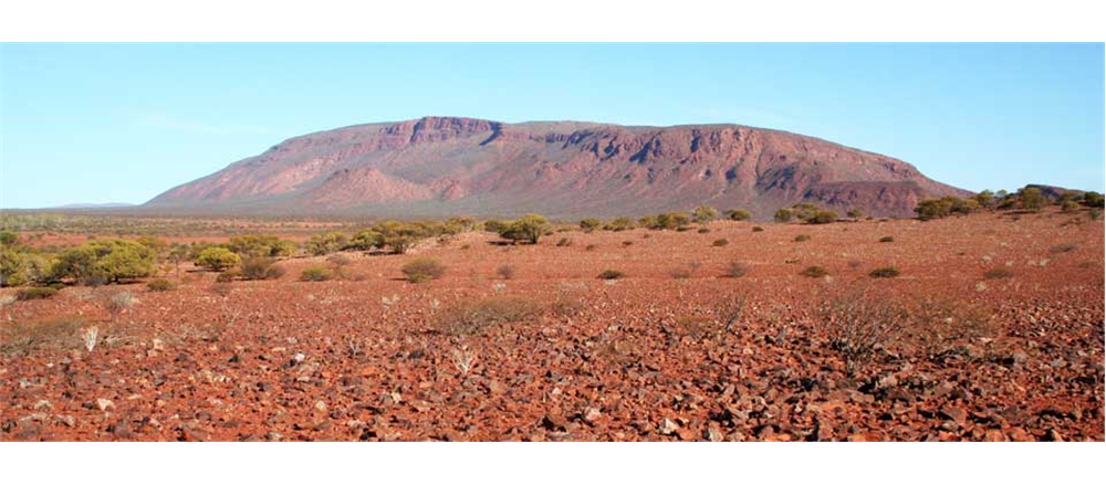 Five small gold players