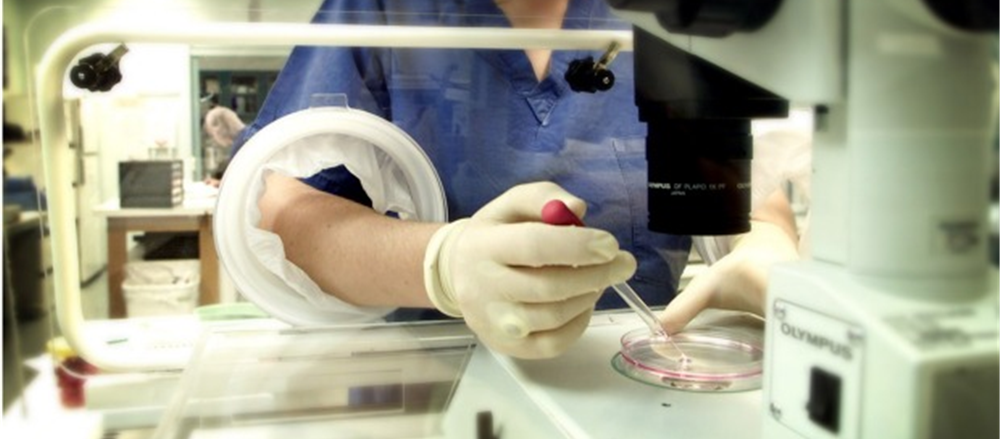 2 Fully-franked Stocks in Assisted Reproductive Services Sector – Monash IVF and Virtus Health