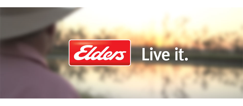 Is Elders Limited in buy zone post its interim result release?  